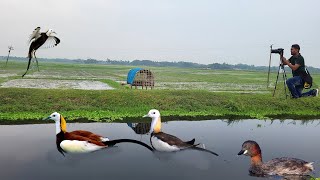 আজকে যাচ্ছি সাহেবের খালে জলমযূরের খোঁজে !! জলমযূরের দেখা কি পাবো ?