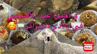 و أخيرًا عيدت في بلادي مع عايلتي🐏😍💫بنة العيد في الجزائر وحدها وسط الأهل و الأحباب نتمناها لكل مغترب