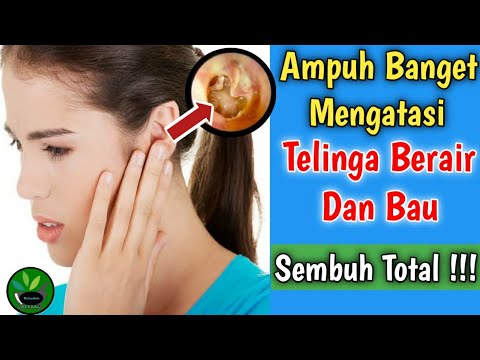 Ampuh Banget || Cara Mengobati Telinga Berair Dan Bau Secara Alami ...