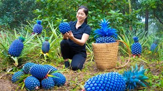 Harvesting Blue Pineapple \u0026 Goes To Market Sell | Gardening And Cooking | Lý Tiểu Vân