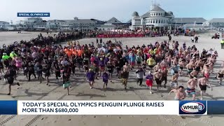 Special Olympics Penguin Plunge raises more than $680,000