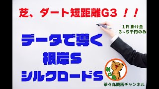 【茶々丸競馬】データで導く根岸S、シルクロードS