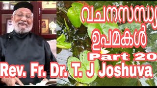 ക്രിസ്തു പറഞ്ഞു തന്ന ഉപമകൾ Part 20 Rev.Fr.Dr.T.J Joshuva 'Upamakal'