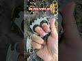 do you want two finger knuckle duster knuckle edc brassknuckle knuckleduster