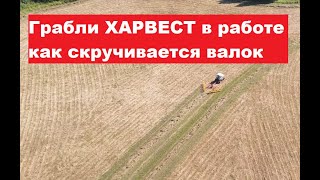 Грабли ворошилки HARVEST WR8 в работе. Сгребание. Июль 2021 г.