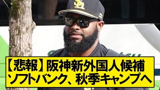 【悲報】阪神新外国人候補コートニー・ホーキンス、ソフトバンク秋季キャンプへ参加【阪神タイガース/2ch野球】