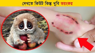 সাবধান - এসব পশু থেকে |