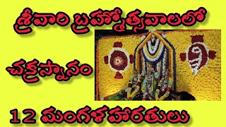 శ్రీ లక్ష్మీ వెంకటేశ్వర స్వామి బ్రహ్మోత్సవాలలో భాగంగా చివరి రోజున...