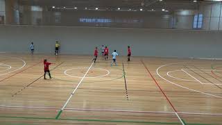 2 Sydney Futsal Club vs Taree Hyundai 1  1st half