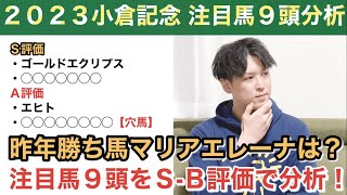 【2023小倉記念注目馬分析】マリアエレーナの評価は？【3-1-0-0】該当の穴馬にも注目