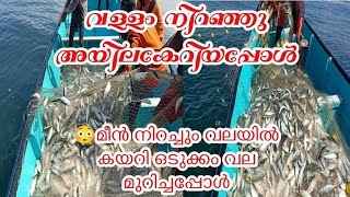 ലക്ഷക്കണക്കിന് അയില വലയിൽ കേറിയപ്പോൾ😳|വല മുറിക്കേണ്ടി വന്നു മീൻകേറിയപ്പോൾ😳|Biggest fish