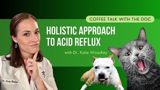 Holistic Approach for Acid Reflux: Natural Remedies to Help Your Pet Feel Better