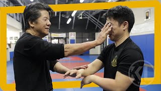 His Wing Chun Blows My Mind | Sifu Francis Fong