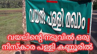 നെൽ വയലിനു നടുവിൽ ഒരു പള്ളി.വയൽ പള്ളി പാലത്തുങ്കര കണ്ണൂർ |Old mosque in Kerala Kannur.episode 12