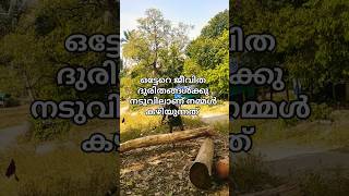 ഒരു ഗ്ലാസ് ചായ കുടിക്കാൻ#shorts #malayalam sabiri#vlog