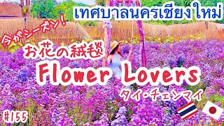 【ベストシーズン到来】お花に囲まれて・・＠チェンマイ の巻 (Flower Lovers)