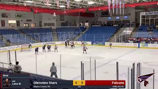 Falcons vs. Glenview Stars (2025.01.18)