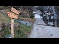 【登山動画】本仁田山 u0026川苔山 春間近の奥多摩を歩く mt.honita u0026 mt.kawanori hike