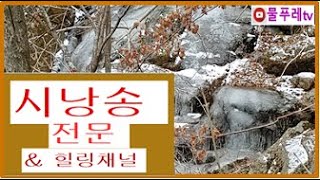 기다림 - 곽재구. 시낭송 물푸레