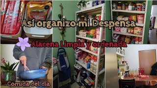 Organizando mi Alacena y acomodando mi despensa  | Comida del día