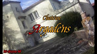 Vin , château Argadens, et frelons bonne cuvée