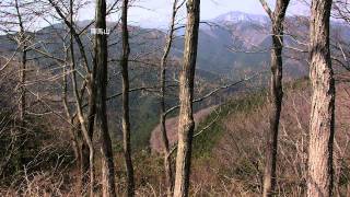 【東京の里山】北高尾山稜-景信山　The North Takao Ridges - Mt.Kagenobu in Tokyo