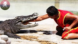 Dying Crocodile Came to Ask for Help,What Happened Next is Shocking