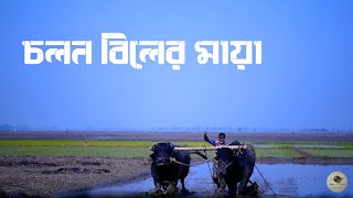 প্রাকৃতিক সম্পদের খোঁজে চলনবিলে - The most beautiful village in Bangladesh?