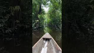 Cruising around primary jungle in the Peruvian Amazon during rainy season. #peru #amazon #nature