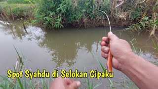 Mancing Ikan Wader di Selokan Kecil dan Pinggir Sawah, Betah!!