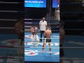 #Kyokushin vs #Kickboxing: Jo Miyahara knocked out Patryk Krzyzostaniak | #knockout #senshi #k1