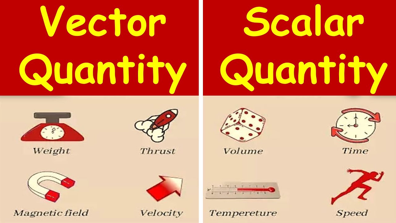 Lecture 12 Vector Distinction Between Vector Quantity And Scalar