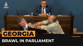 Controversial law sparks fight in Georgian parliament | Al Jazeera Newsfeed