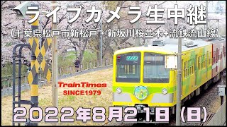 【ライブカメラ】生中継／千葉県松戸市新坂川桜並木／2022年8月21日【桜並木・流鉄流山線リアルタイム配信】