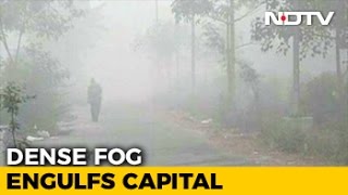 Thick Fog In Delhi, North India, Flight Operations Affected