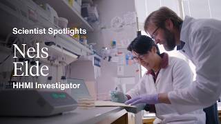 Scientist Spotlights: HHMI Investigator Nels Elde