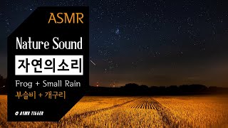 [ASMR Nature] 부슬비내리는 밤 + 개구리소리🐸 | 할머니댁, 시골, ambience, sleeping, 자연의소리, 불면증, 입체음향, 수면, small rain