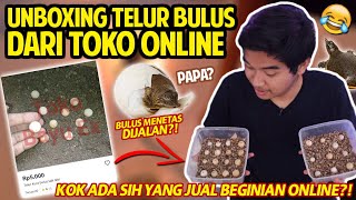 ADA YANG JUAL TELUR BULUS ONLINE?! LANGSUNG BORONG! TETESIN SENDIRI DI RUMAH!