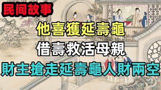 民間故事合集：他喜獲延壽龜，借壽救活母親，財主搶走延壽龜人財兩空