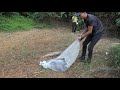 thẢ rẮn hỔ chÚa 21kg vÀo rỪng release the king cobra 21kg 4 meters vietnam