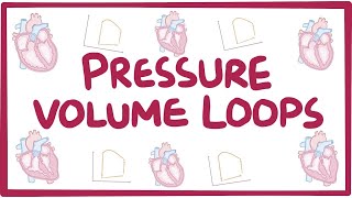 Changes in pressure-volume loops