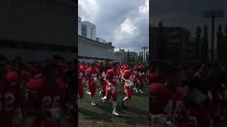 日本大学フェニックス QB林選手 #1 vs日本体育大学トライアンファントライオン