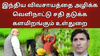 வெளிநாட்டு வெட்டுக்கிளிகள் இந்திய விவசாய நிலங்களை ஒழித்துக்கட்ட தயாராகும் டெல்லி