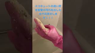 エコキュートの追い焚き配管(風呂釜)の汚れを除去しました！今回はまだ少ない方ですが、2年に1回くらいのペースで洗浄しましょう！