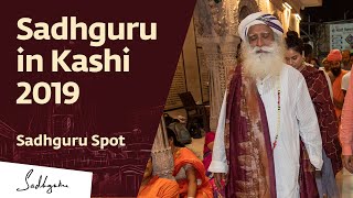 Sadhguru in Kashi 2019 | Sadhguru Spot