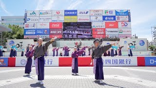 [4K] ソフトバンクよさこい部　高知よさこい祭り 2019 本祭1日目