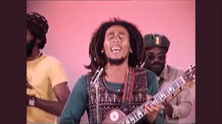 Bob Marley   Roots Rock Reggae 12 Inch