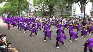 スーパーよさこい(2013/8/24) 「ピンクチャイルド」