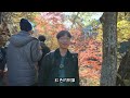 autumn leaves at shosenkyo🍁 are stunning ancient ruins discovered japan exchange vlog 10