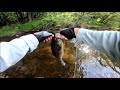 river smallmouth fishing nothing but ned rig